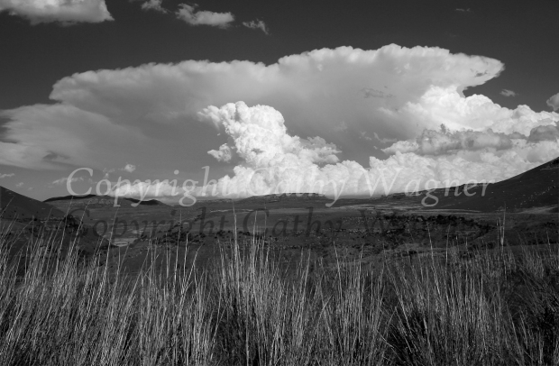 Storm building over the Golden Gate National Park mountains, near Clarens